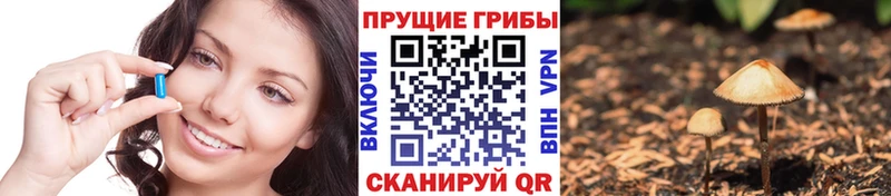 Галлюциногенные грибы Magic Shrooms  купить  цена  Туймазы 