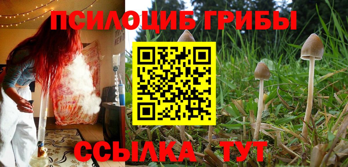 Псилоцибиновые грибы GOLDEN TEACHER  цены   Туймазы  Вход с VPN 